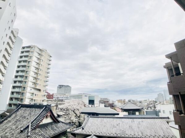 アールヴェール文京白山の物件内観写真